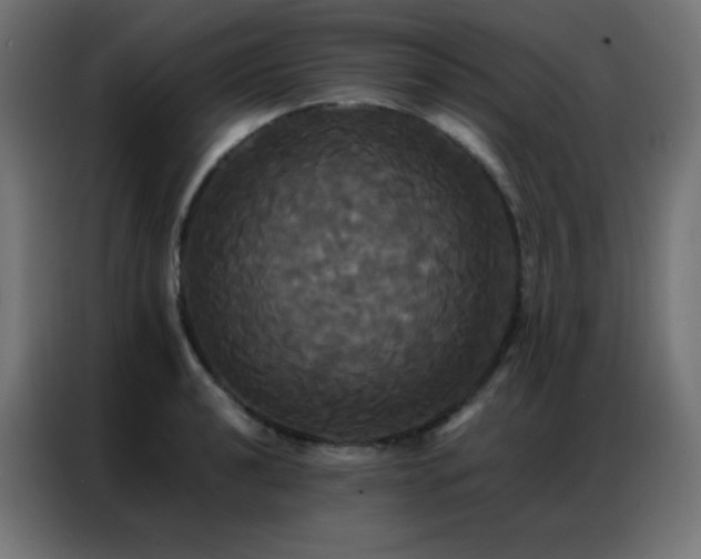X0000086921040200704161358