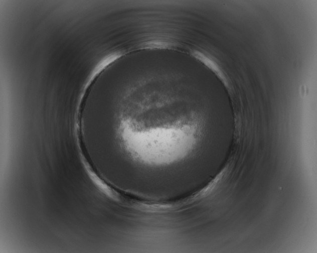 X0000086921042200704161358