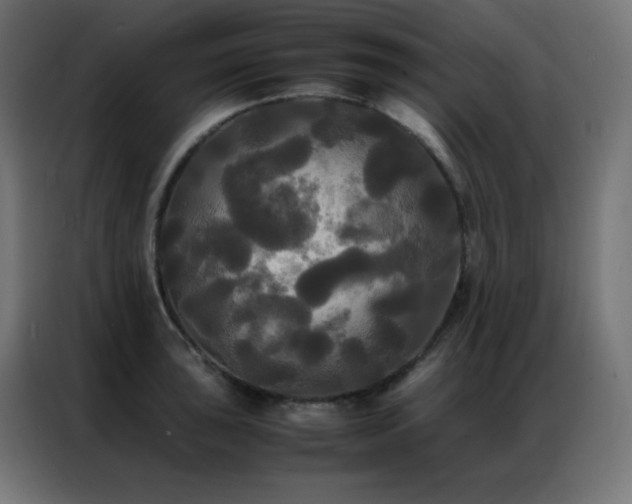 X0000086921043200704161358