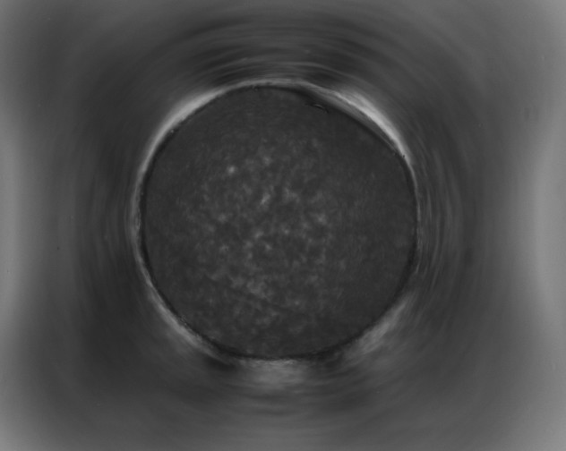 X0000086921045200704161358