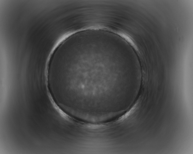 X0000086921046200704161358