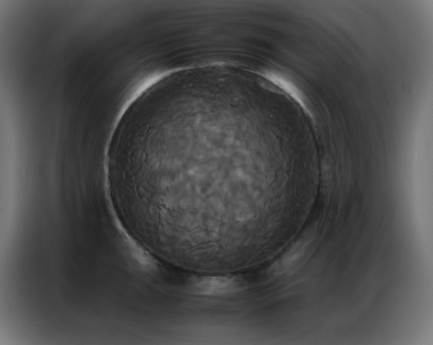 X0000086921047200704161358