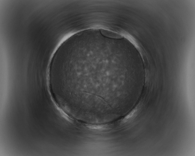 X0000086921048200704161358