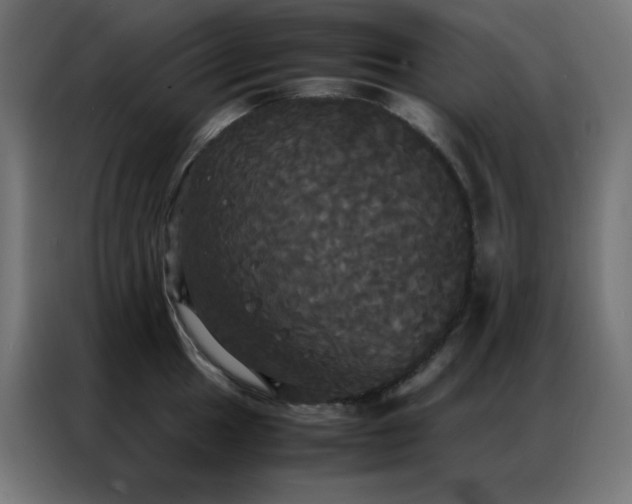X0000086921049200704161358