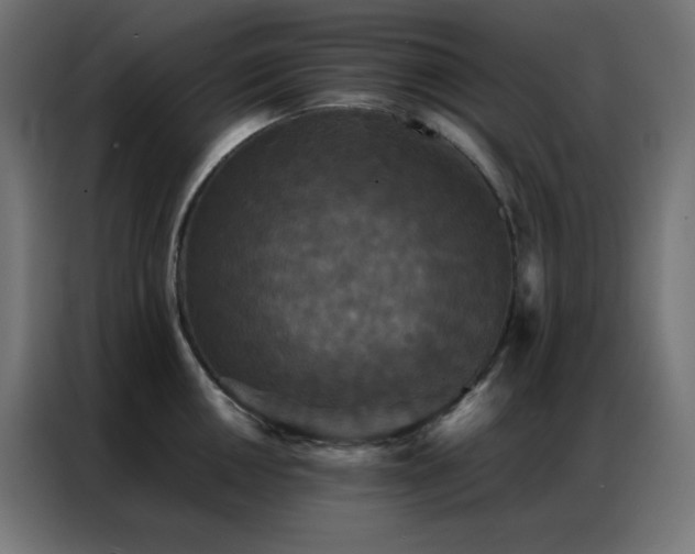 X0000086921050200704161358