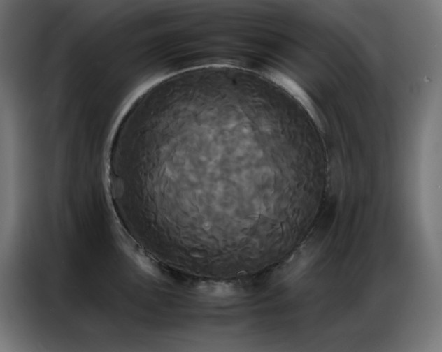 X0000086921051200704161358