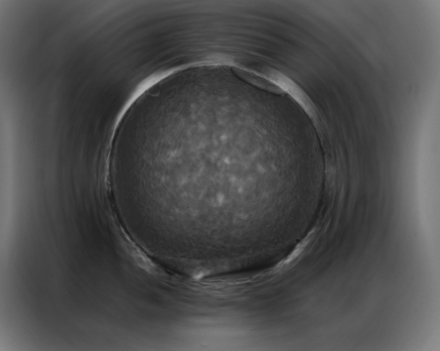X0000086921052200704161358