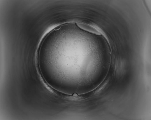 X0000086921053200704161358