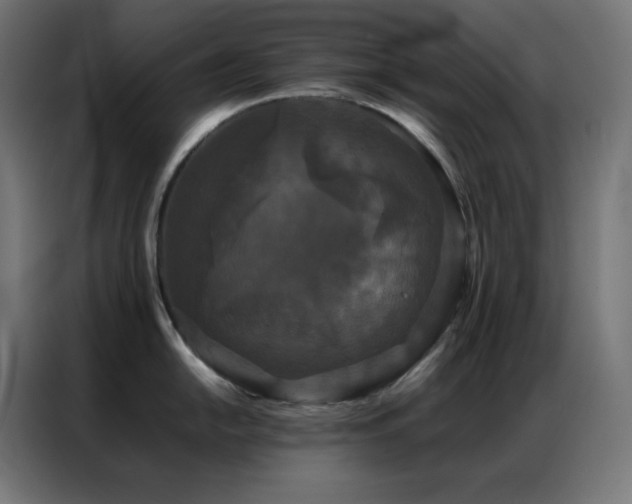X0000086921054200704161358