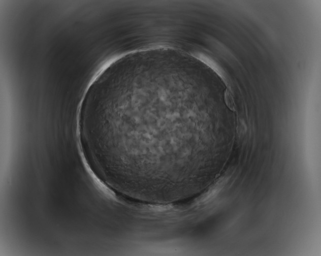 X0000086921055200704161358