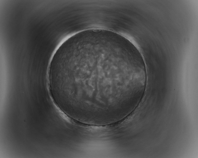 X0000086921056200704161358