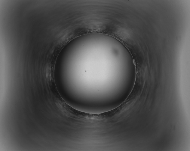 X0000086921058200704161358