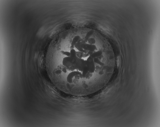 X0000086921059200704161358