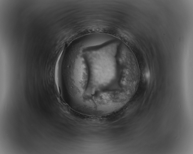 X0000086921060200704161358