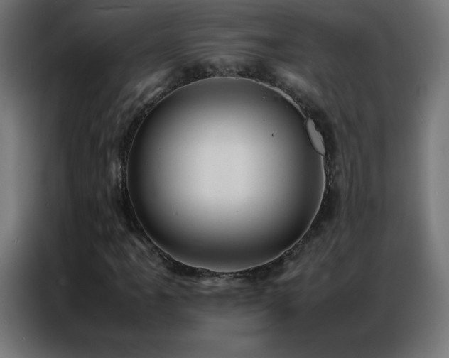 X0000086921061200704161358