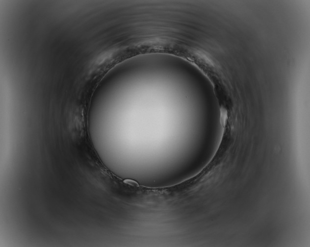 X0000086921062200704161358