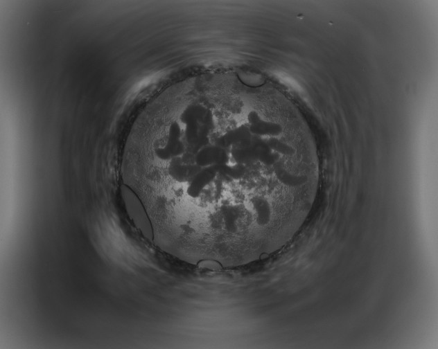 X0000086921063200704161358