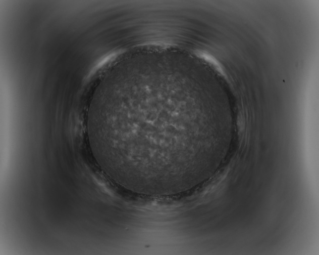 X0000086921064200704161358