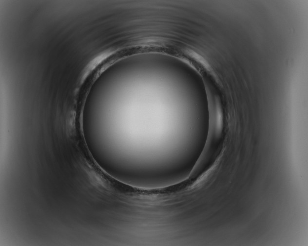 X0000086921066200704161358