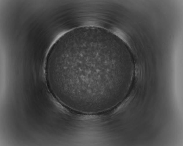 X0000086921068200704161358