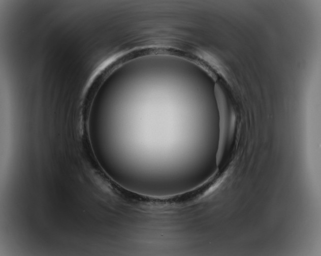 X0000086921069200704161358