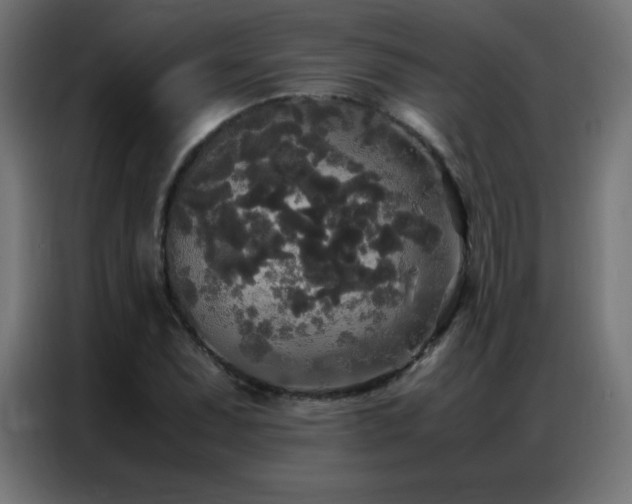 X0000086921071200704161358