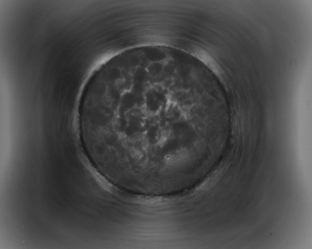 X0000086921072200704161358