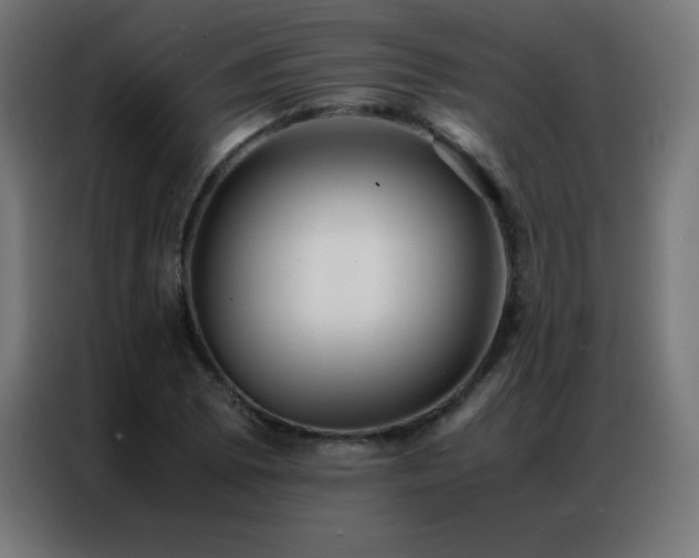 X0000086921073200704161358