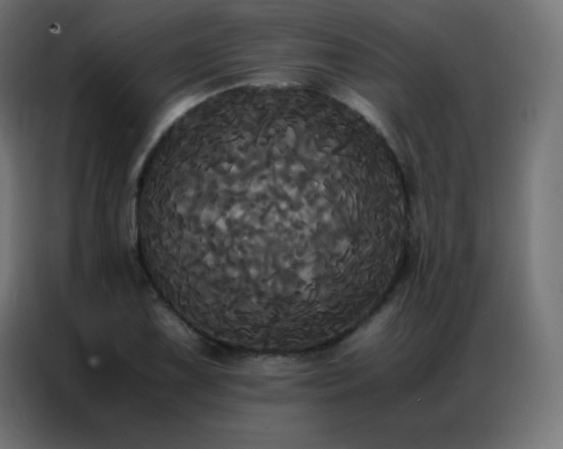 X0000086921075200704161358