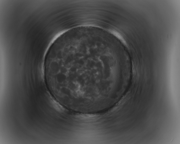 X0000086921076200704161358