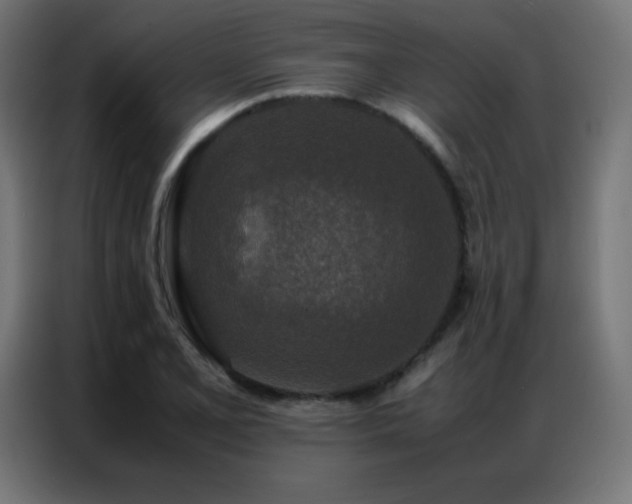 X0000086921077200704161358