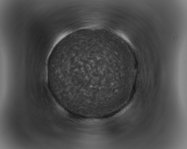 X0000086921079200704161358