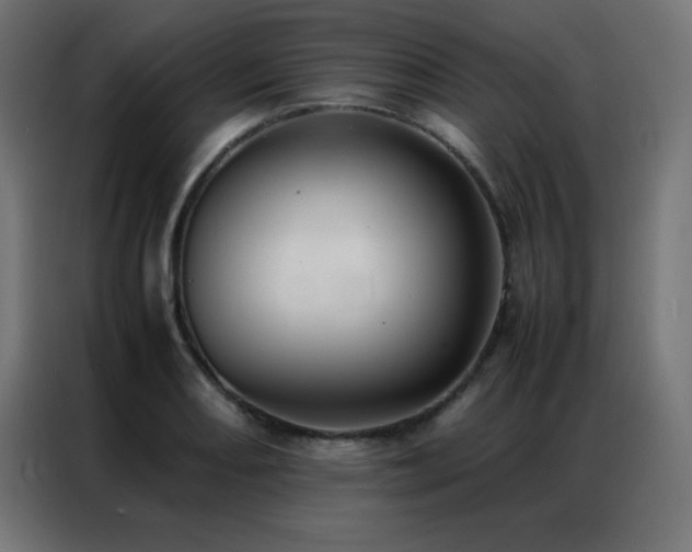 X0000086921082200704161357