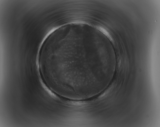 X0000086921084200704161357