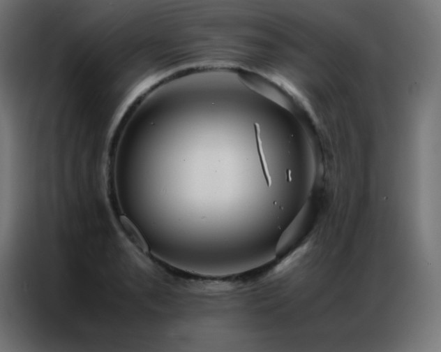 X0000086921085200704161357