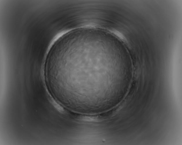 X0000086921086200704161357