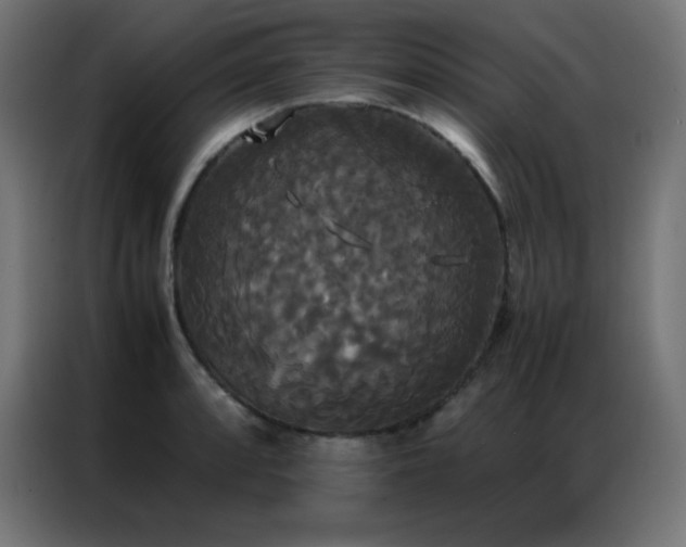 X0000086921088200704161357