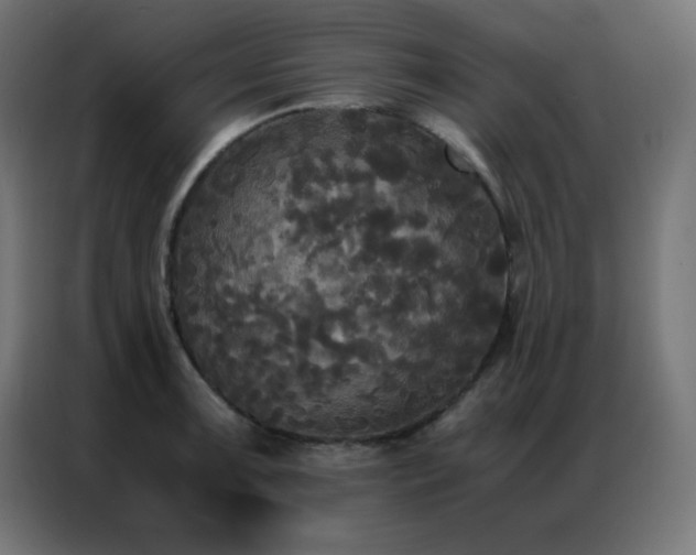X0000086921091200704161357