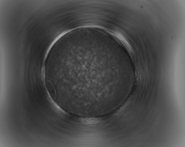 X0000086921092200704161357