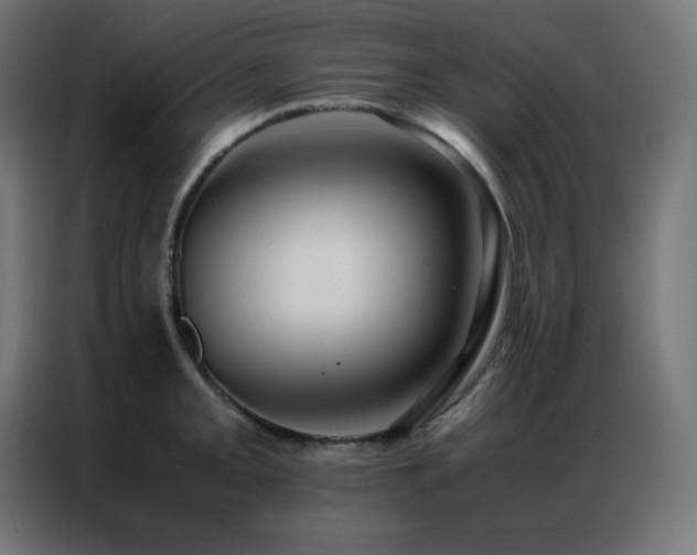 X0000086921093200704161357
