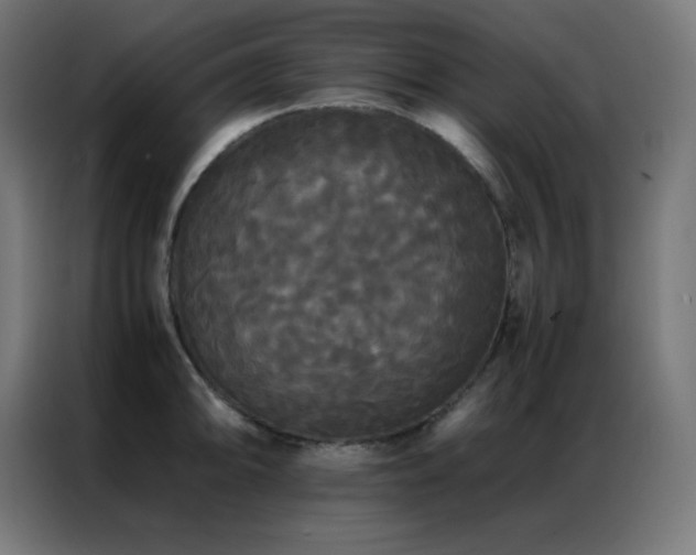 X0000086921094200704161357