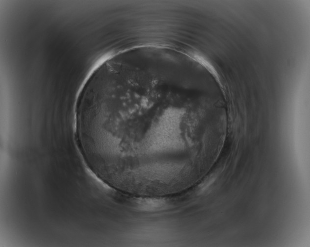 X0000086921095200704161357