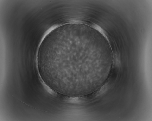 X0000086921098200704161357