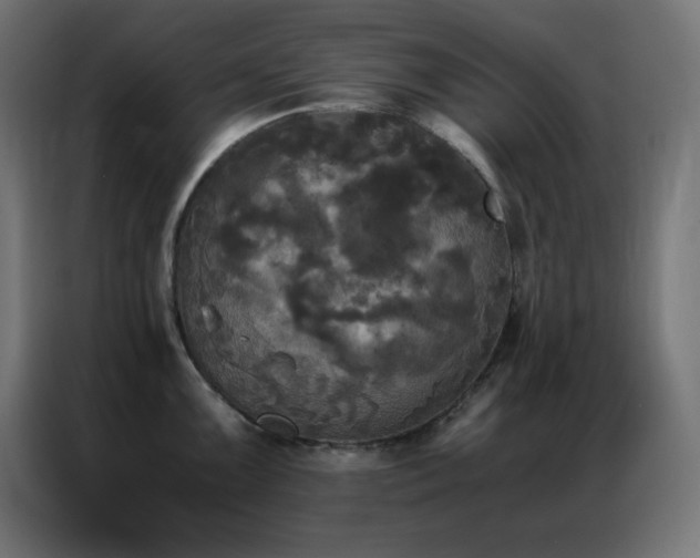 X0000086921099200704161357