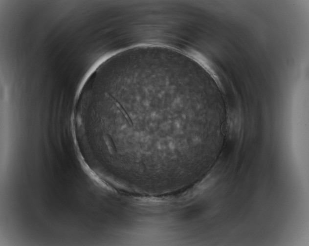 X0000086921100200704161357
