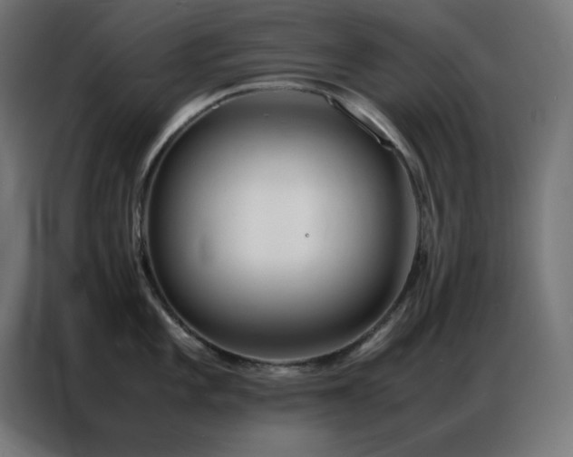 X0000086921101200704161357
