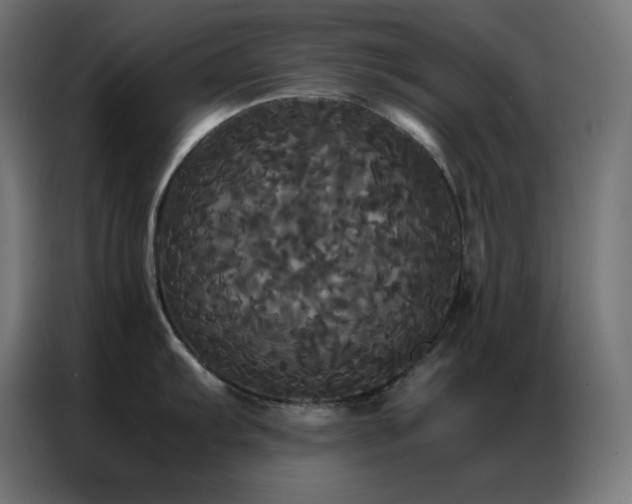 X0000086921103200704161357