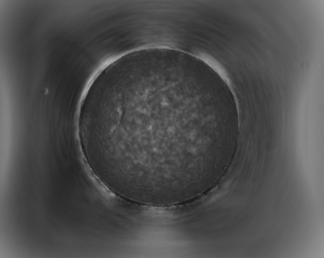 X0000086921104200704161357