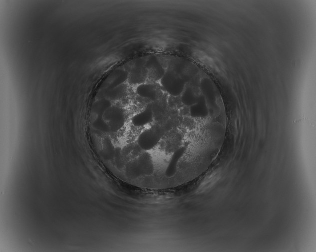 X0000086921105200704161356