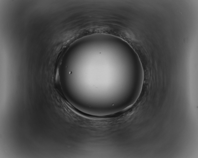 X0000086921109200704161357